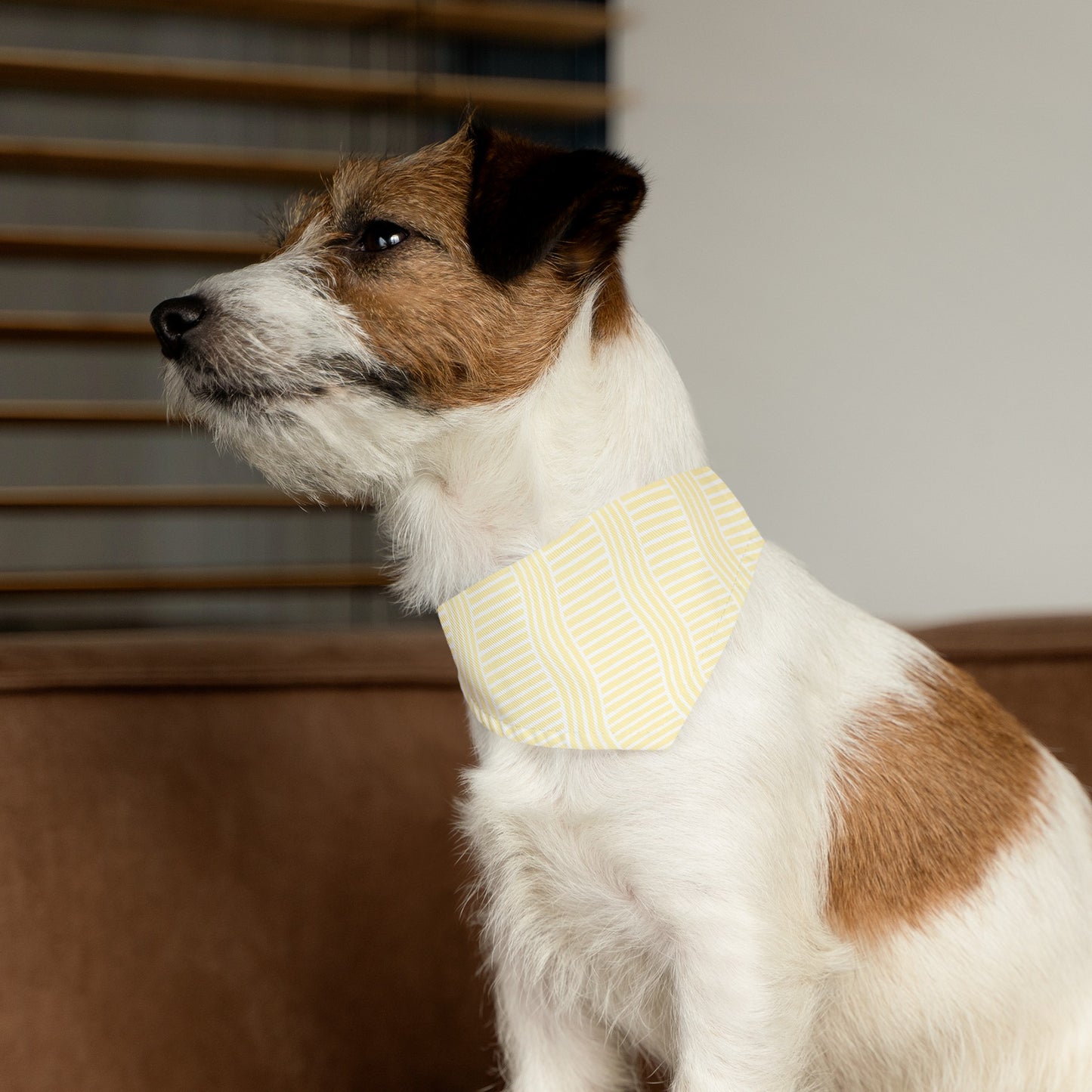 Lemon Lines Collar Bandana