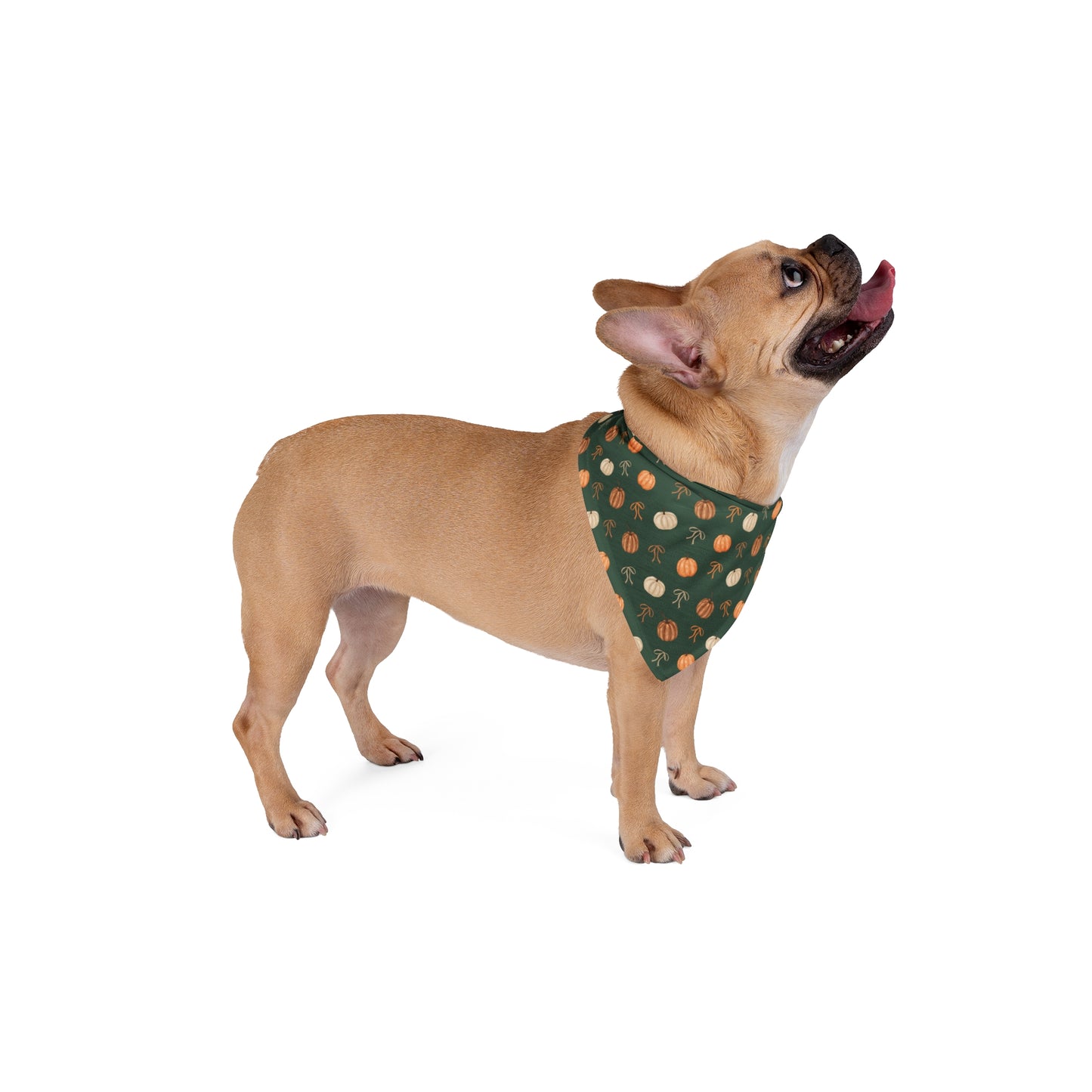 Autumn Coquette Tie On Dog Bandana