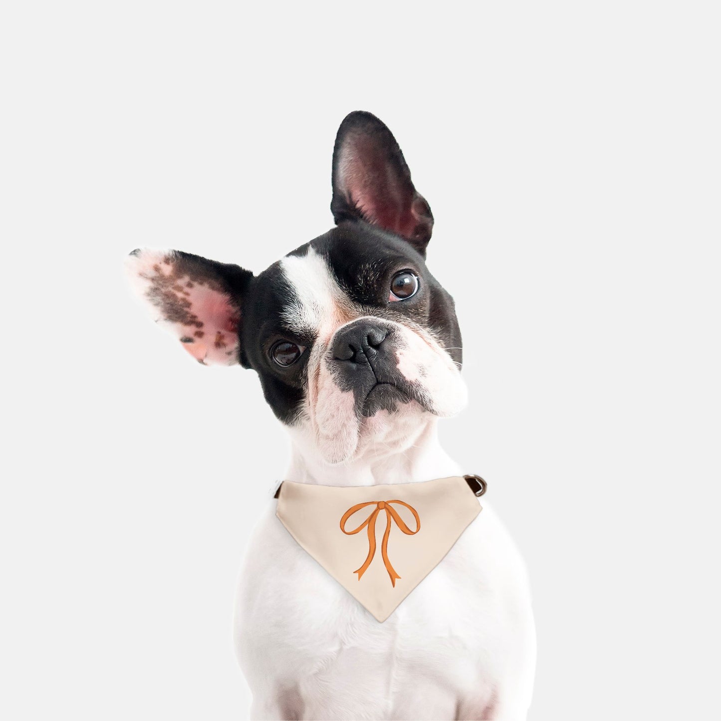 Single Rust Collar Bandana