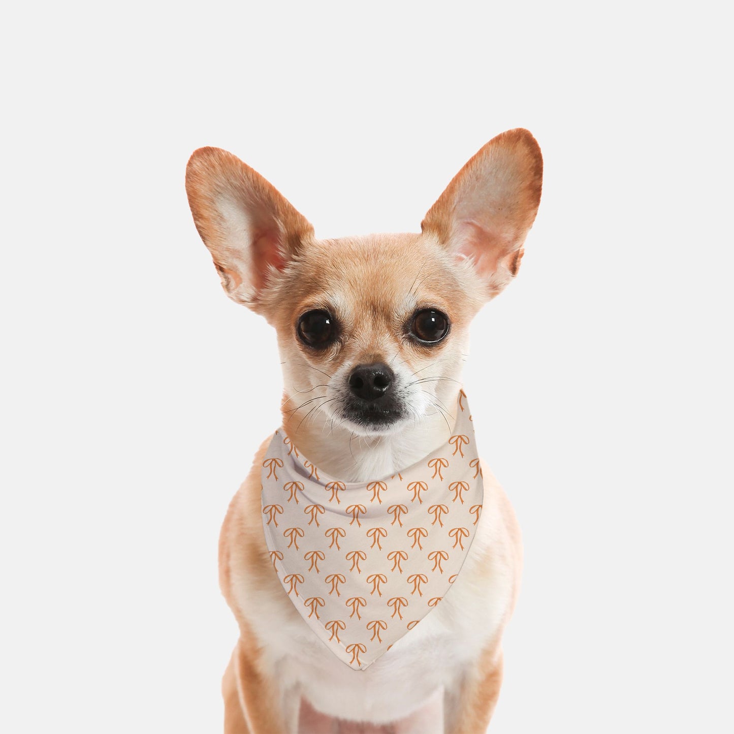 Rust Bows Dog Bandana