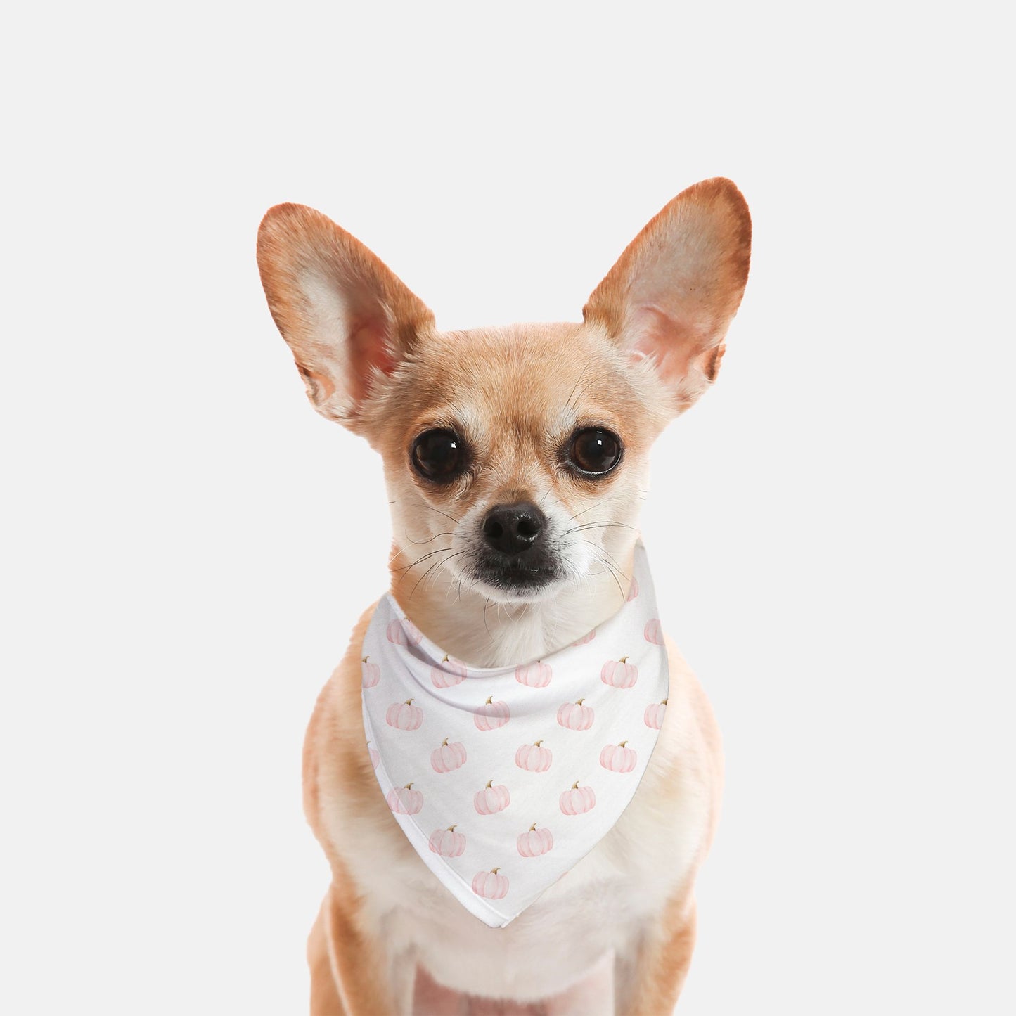 Pretty In Pink Pumpkins Dog Bandana