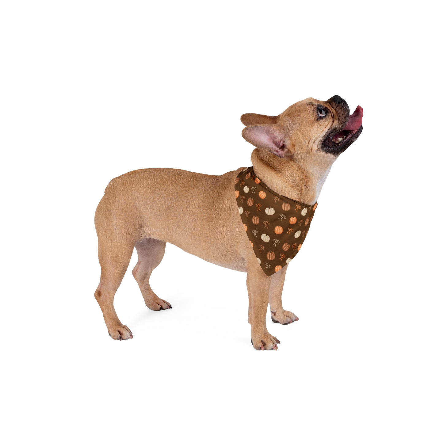 Autumn Coquette Tie On Dog Bandana