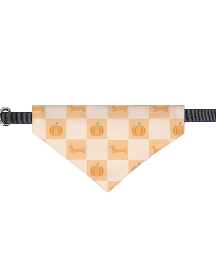On Collar Pet Bandana  - Pumpkin Patched Dachshunds