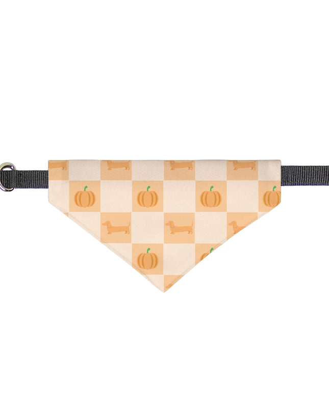 On Collar Pet Bandana  - Pumpkin Patched Dachshunds