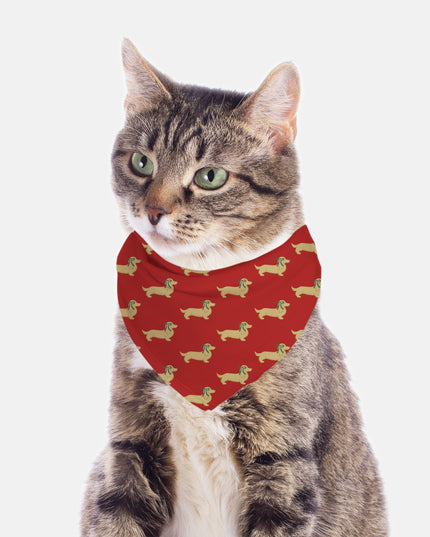 Dog Bandana - Dach of Gold Long-Haired Edition