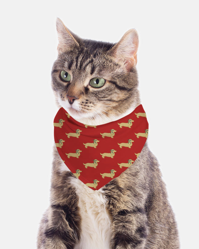 Dog Bandana - Dach of Gold Long-Haired Edition