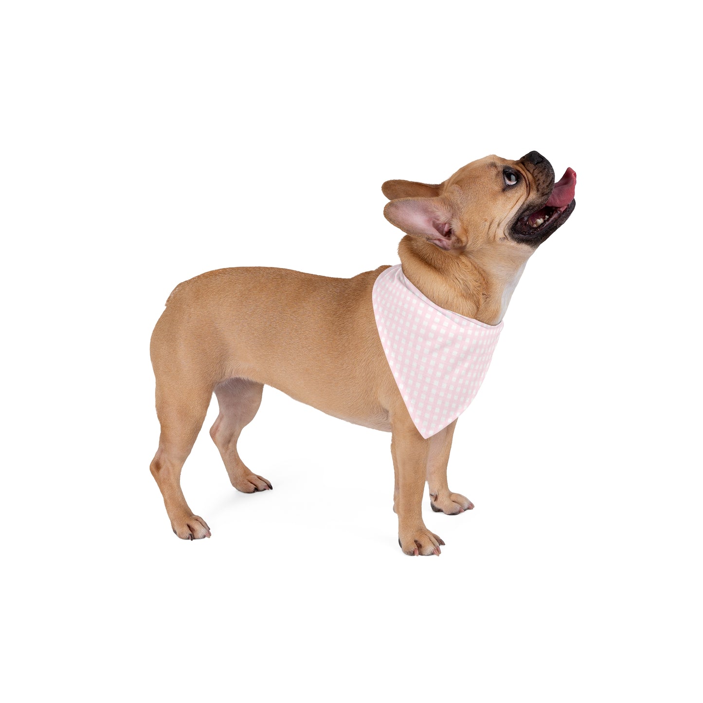 Pink Gingham Dog Bandana