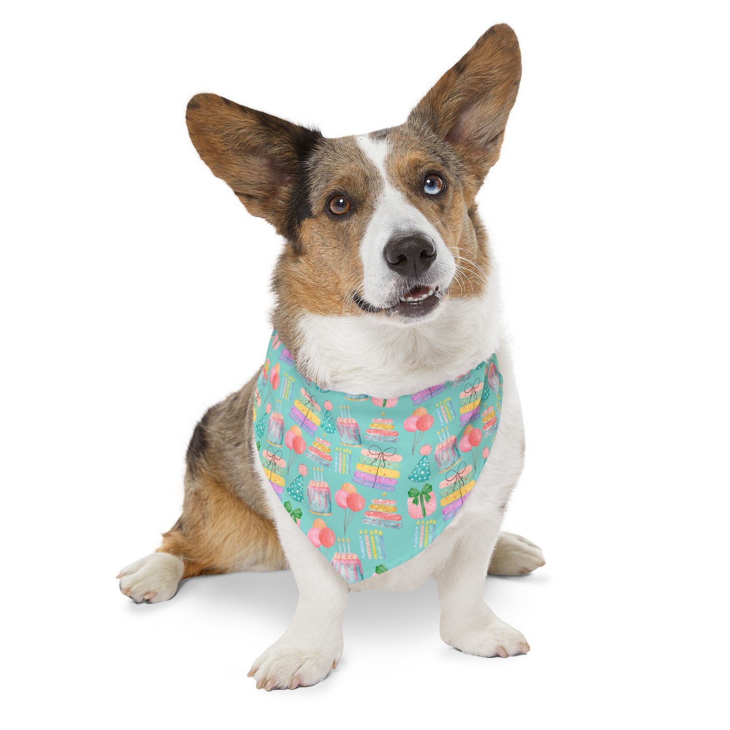 Teal Birthday Collar Bandana