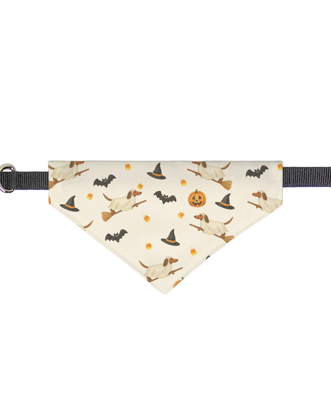 On Collar Pet Bandana  - Happy Halloweenie