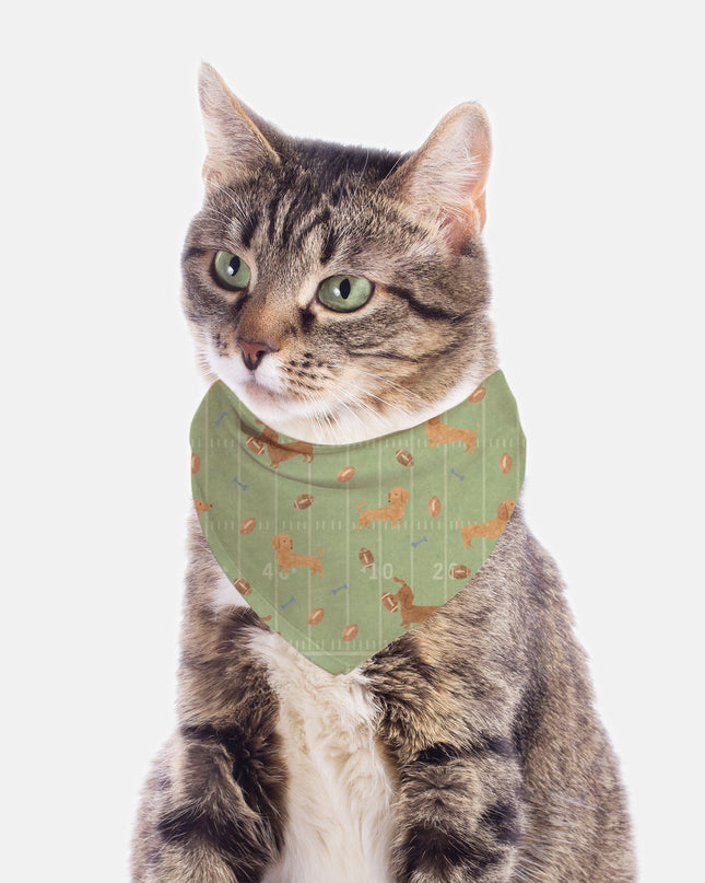 Tie On Dog Bandana – Touchdown Dachshunds