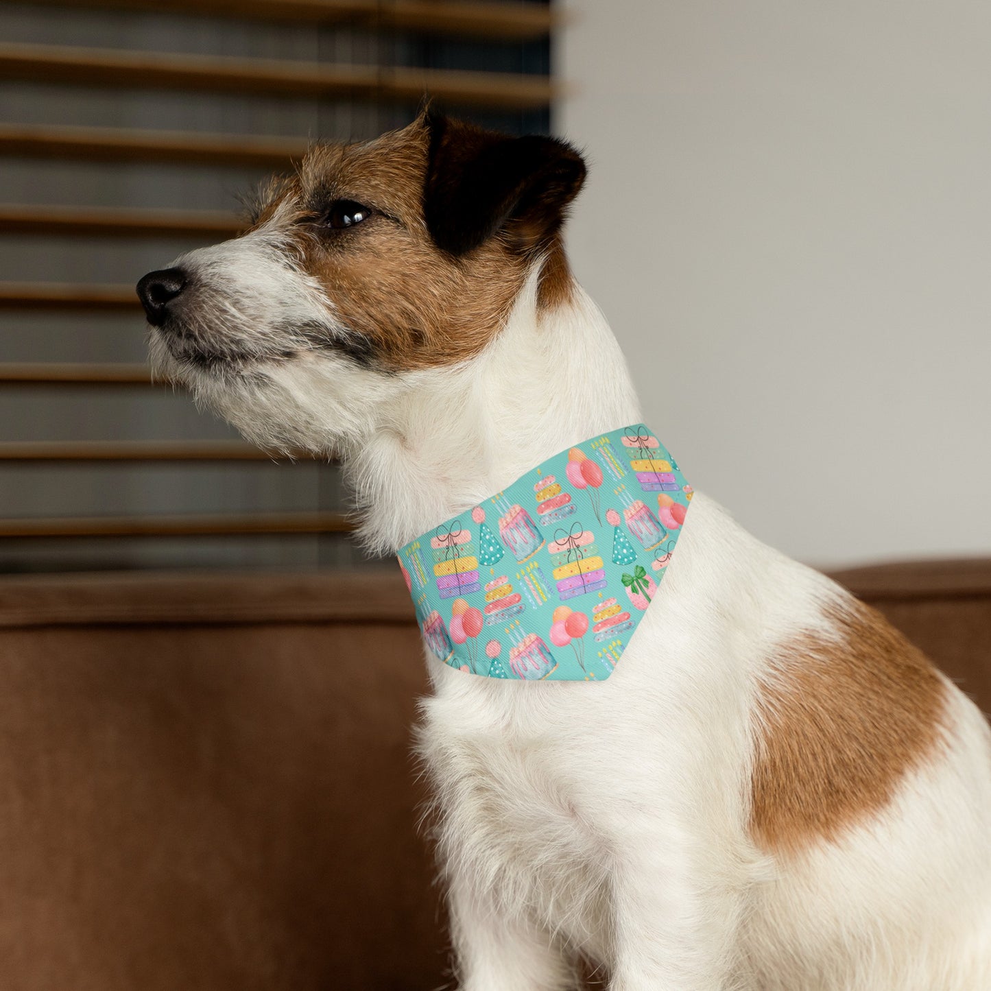 Teal Birthday Collar Bandana