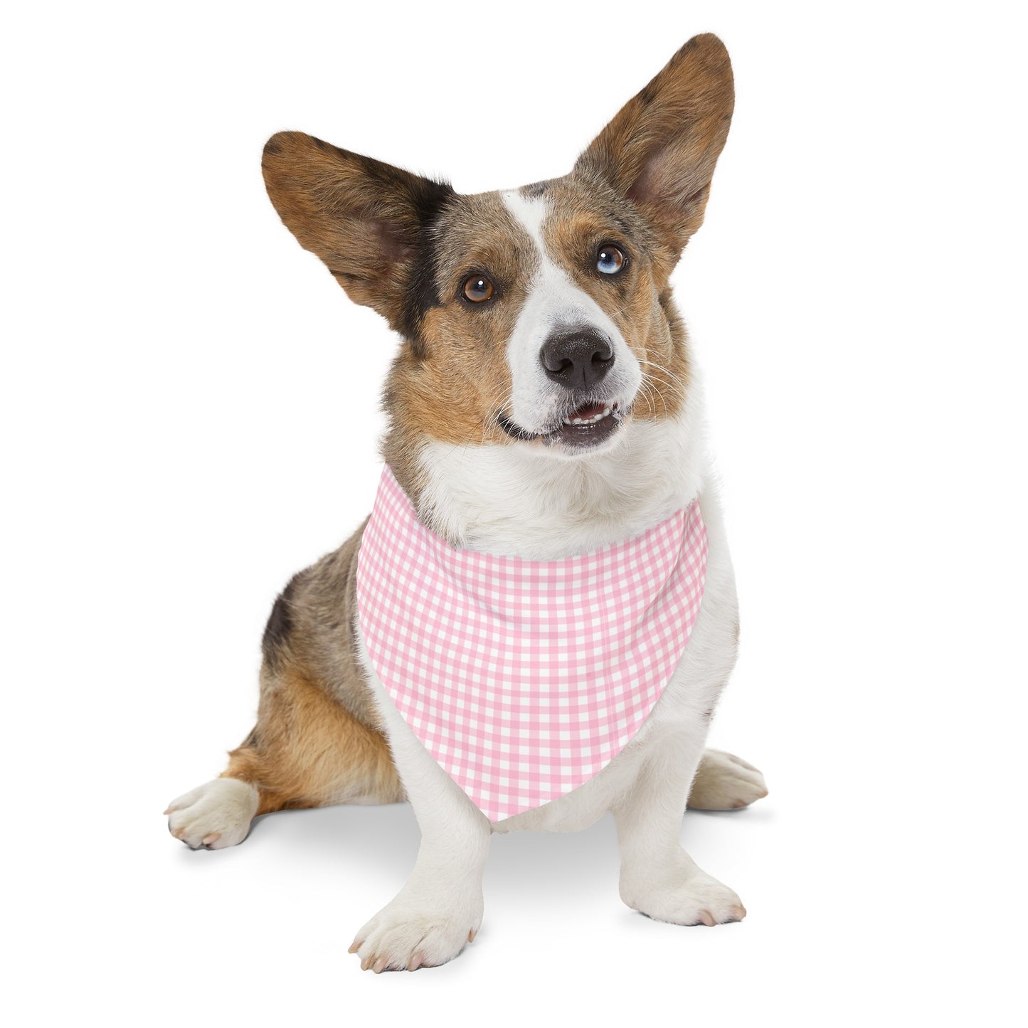 Pink Gingham Collar Bandana