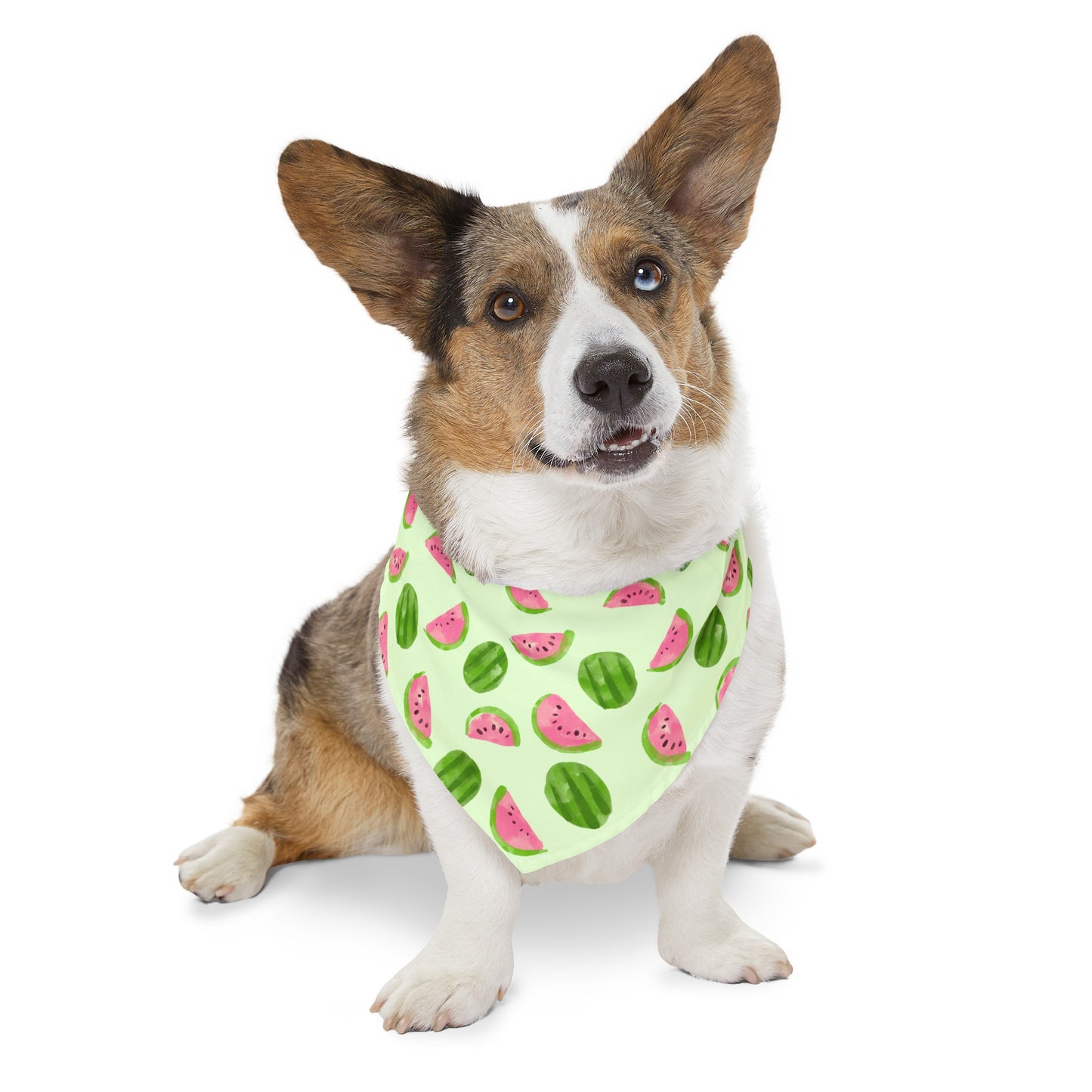 Watermelon Collar Bandana