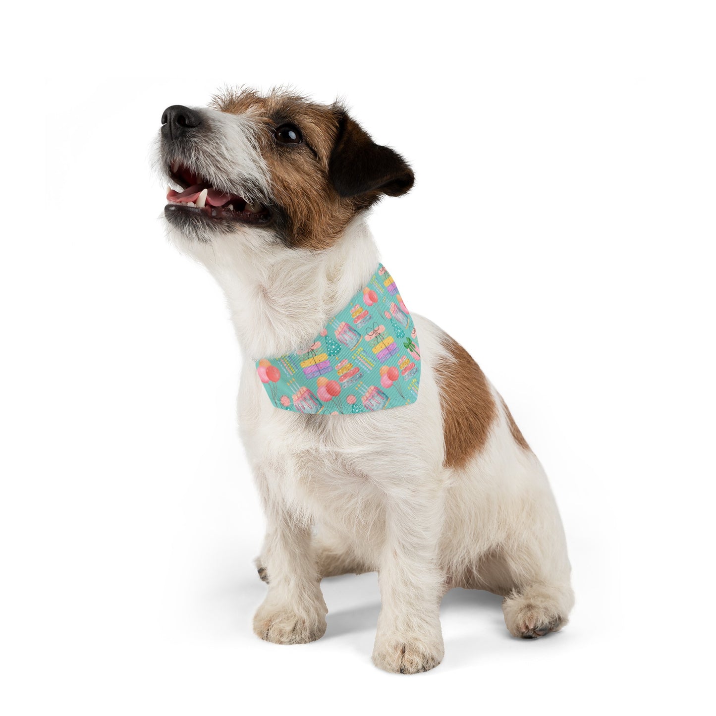 Teal Birthday Collar Bandana