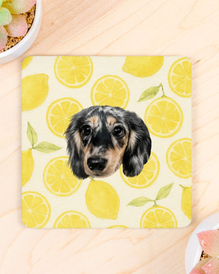 Coaster Neoprene Back 4PK - Main Squeeze Lemon