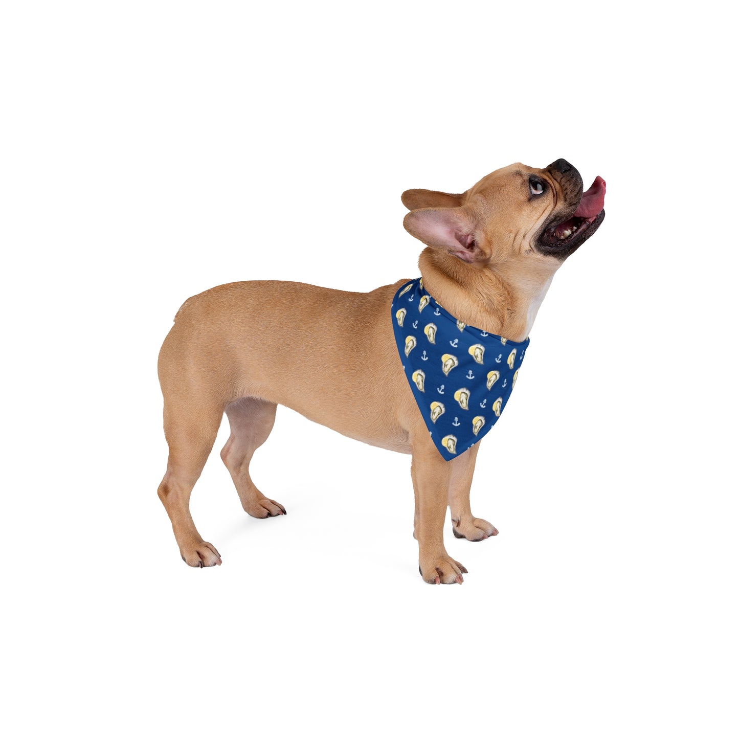 Oyster Tide Dog Bandana