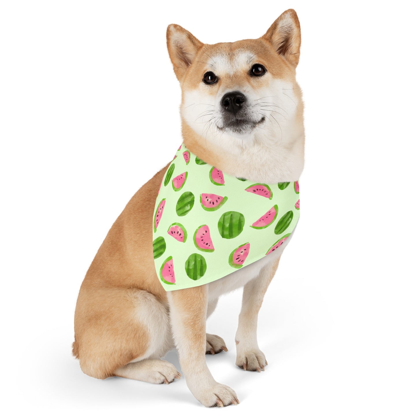 Watermelon Collar Bandana