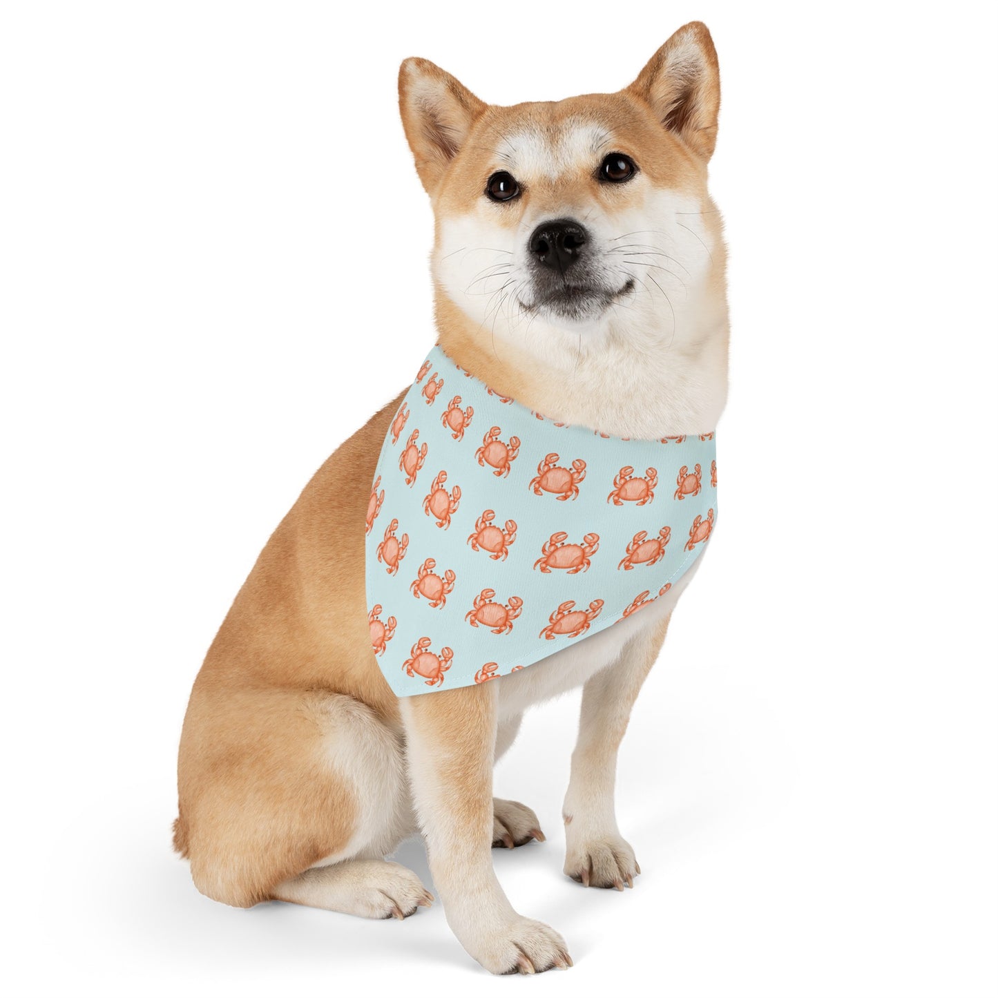 Coastal Crabbie Collar Bandana