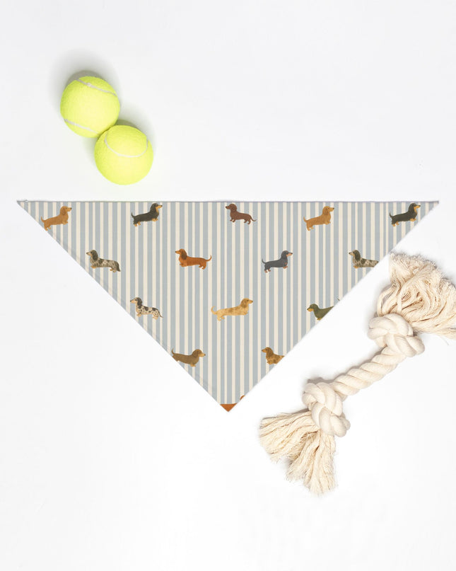 Tie On Dog Bandana -  Long-Haired & Short-Haired Dachshund Mix Print