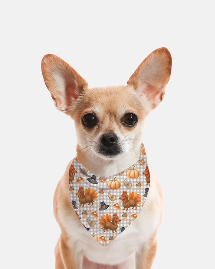 Small Breed Pet Bandana - Turkey Wiener Dogs