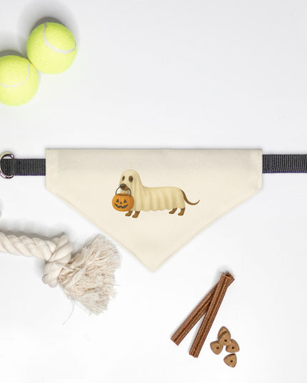 On Collar Pet Bandana  - Spooky Sausage: Halloween Dachshund Design