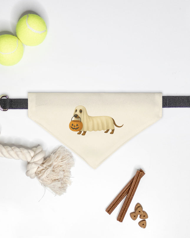 On Collar Pet Bandana  - Spooky Sausage: Halloween Dachshund Design