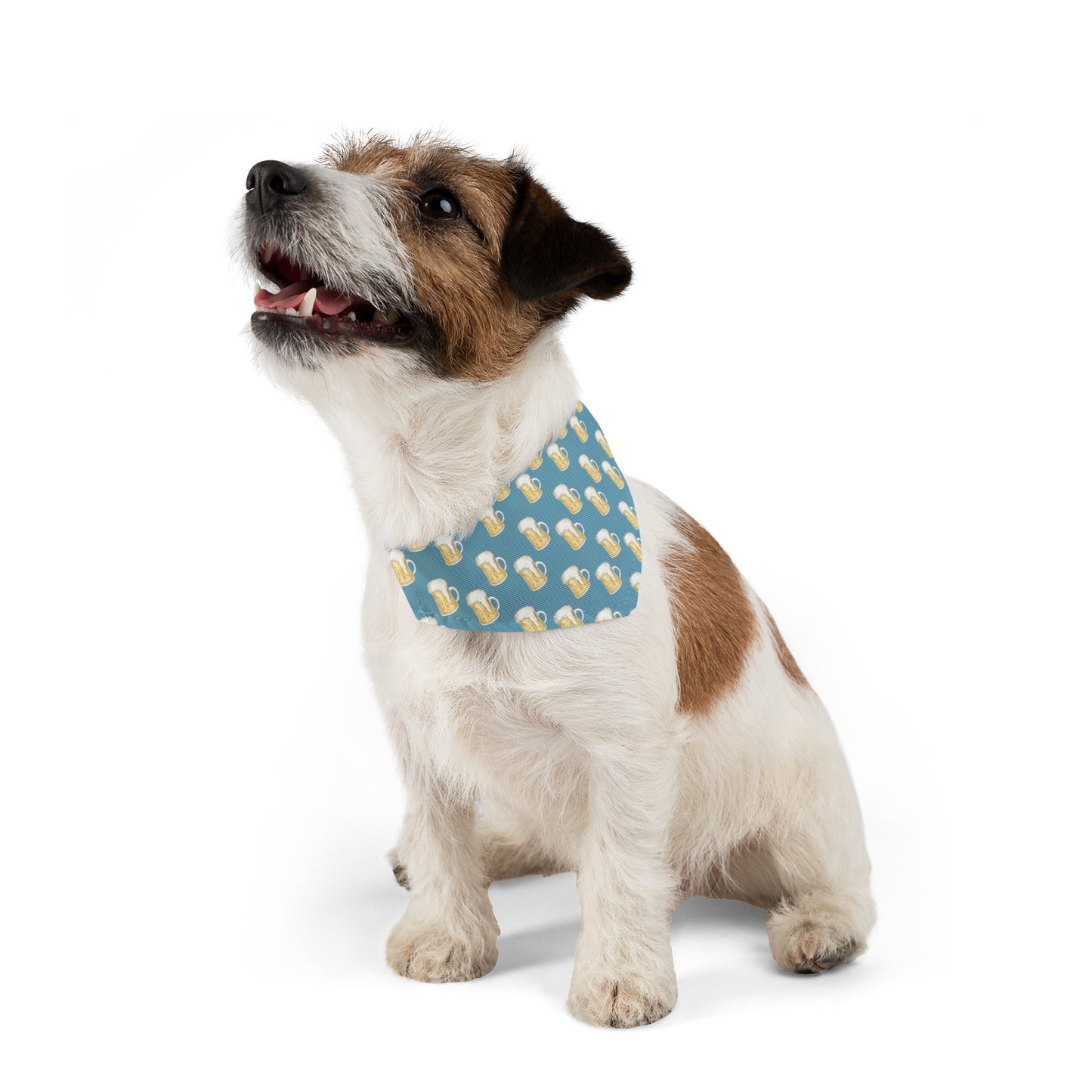 Beer Me Buddy Collar Bandana