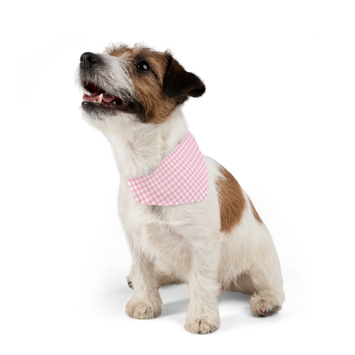 Pink Gingham Collar Bandana