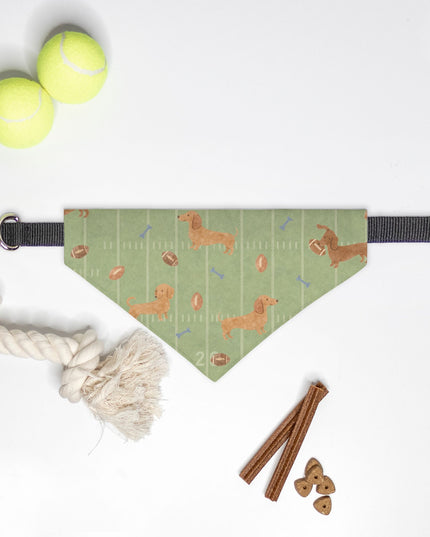 On Collar Dog Bandana  -  Touchdown Dachshunds