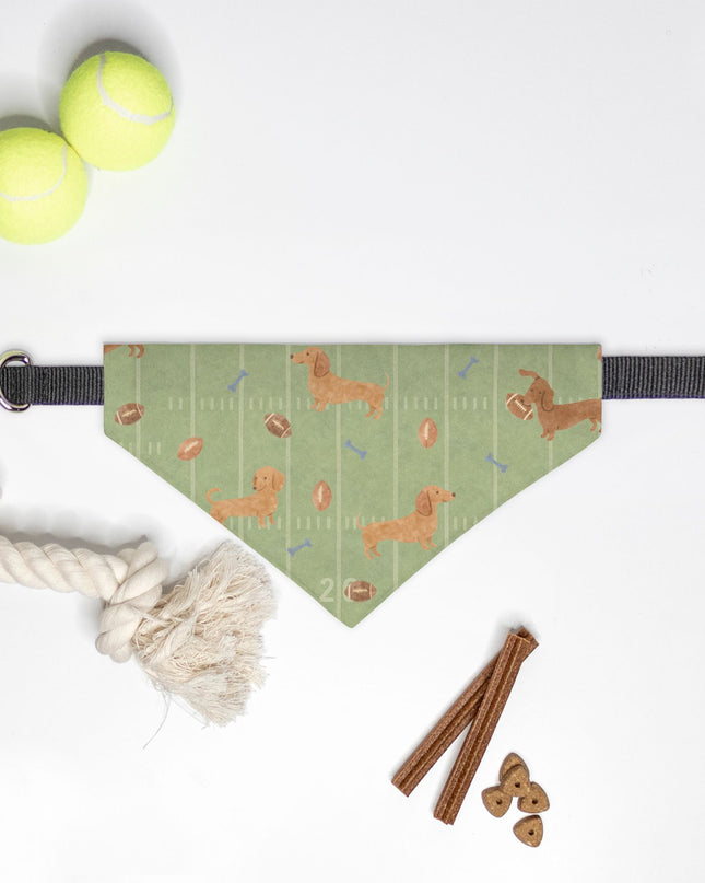 On Collar Dog Bandana  -  Touchdown Dachshunds