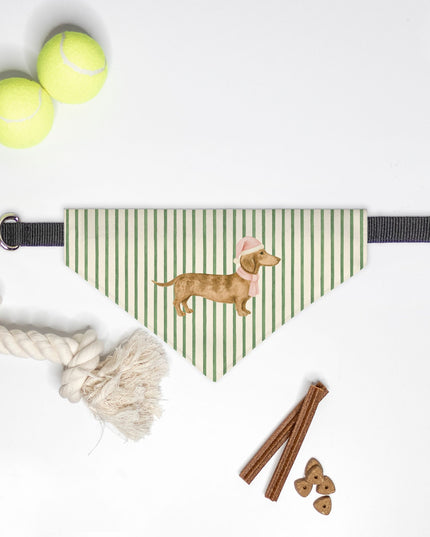 On Collar Pet Bandana  - Green Striped Pink Dachshund Santa