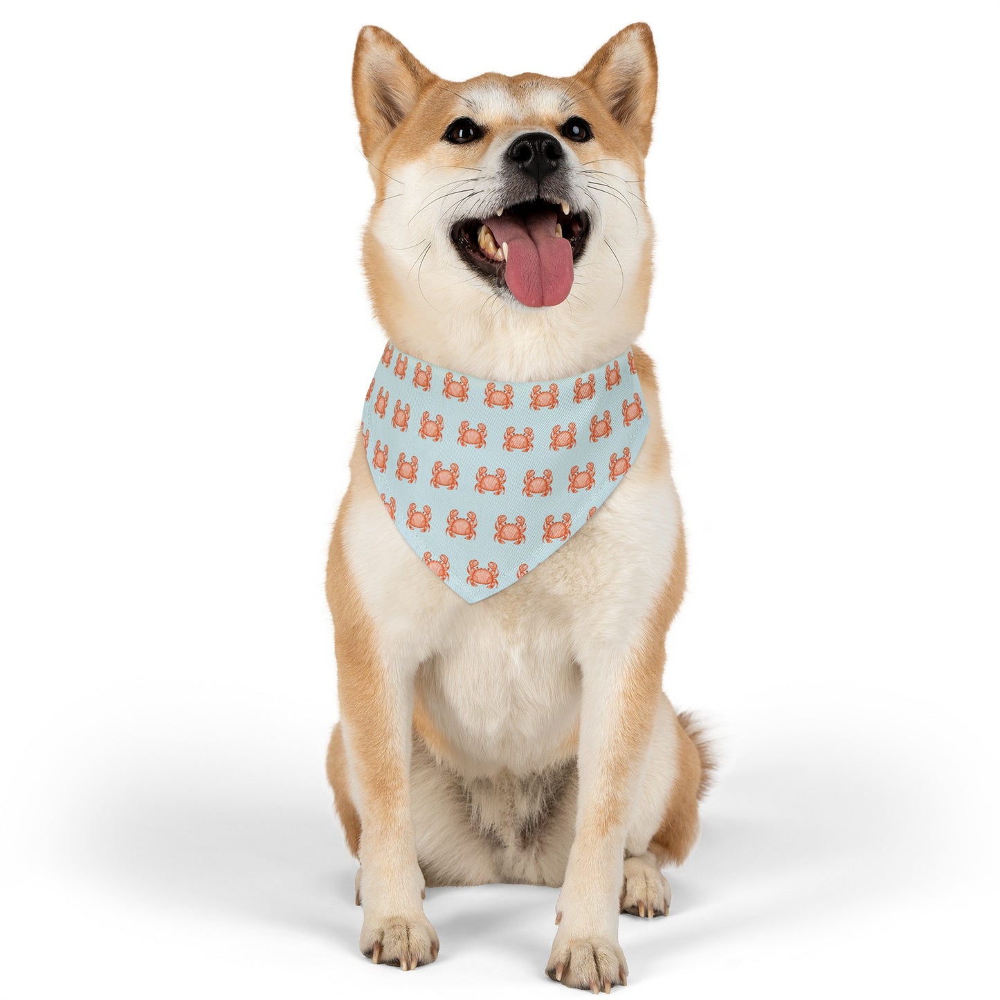 Coastal Crabbie Collar Bandana