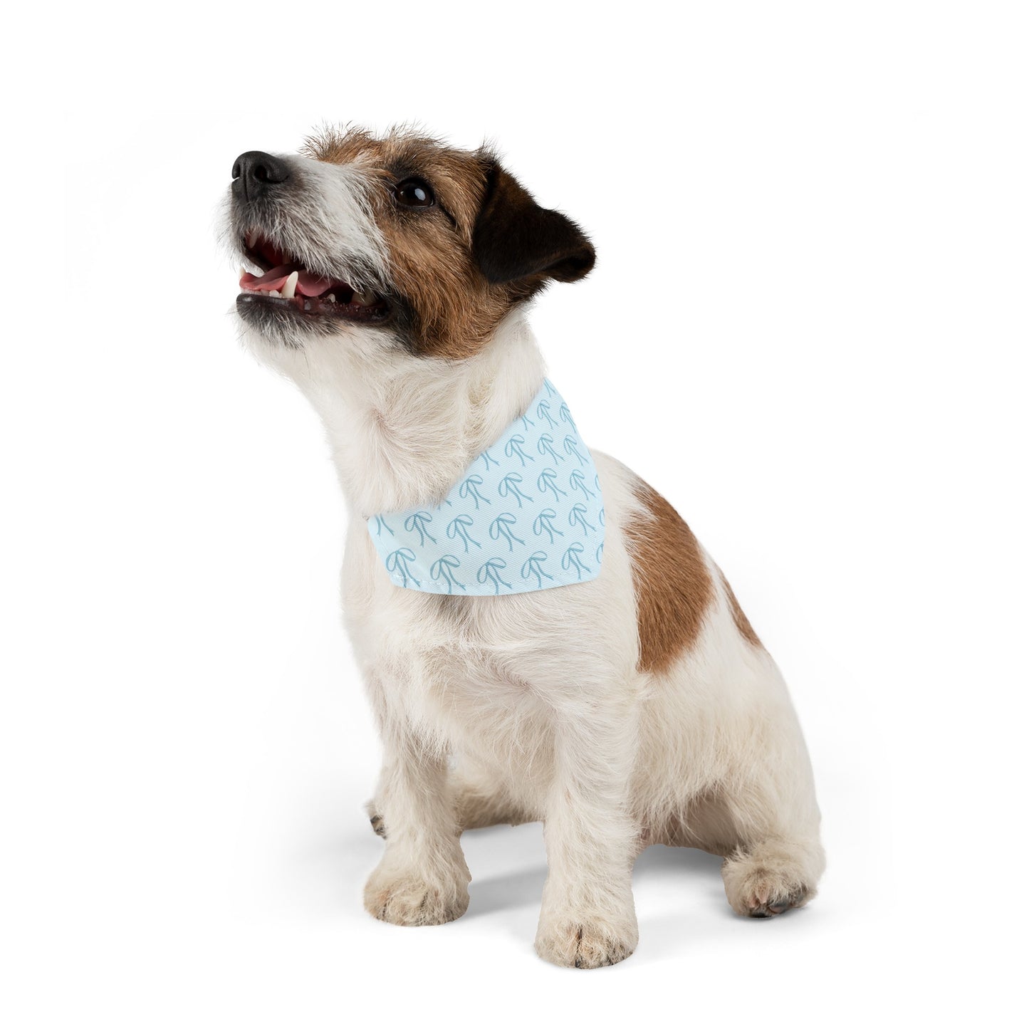 Little Bow Blue Dog Collar Bandana