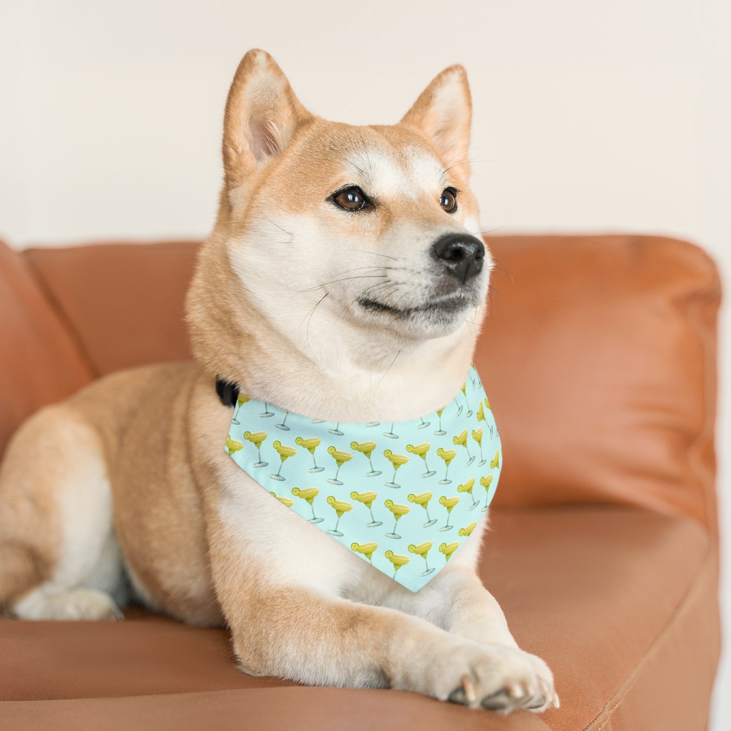 Margaritas Collar Bandana