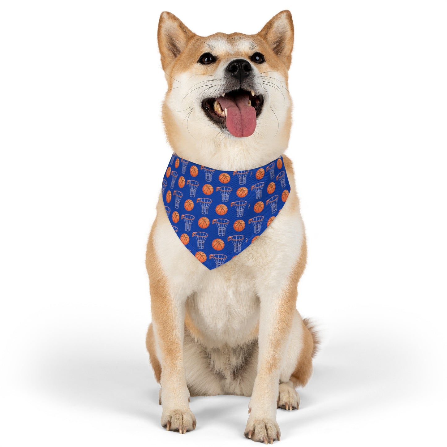 Hoops Collar Pet Bandana