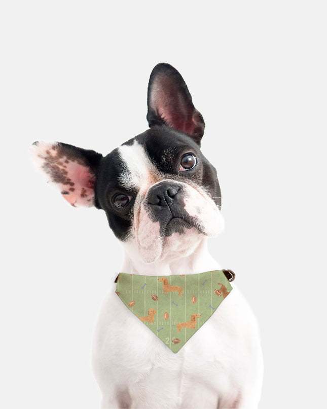 On Collar Dog Bandana  -  Touchdown Dachshunds