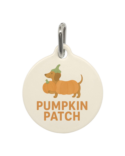 Pet Tag - Pumpkin Patch Dachshund