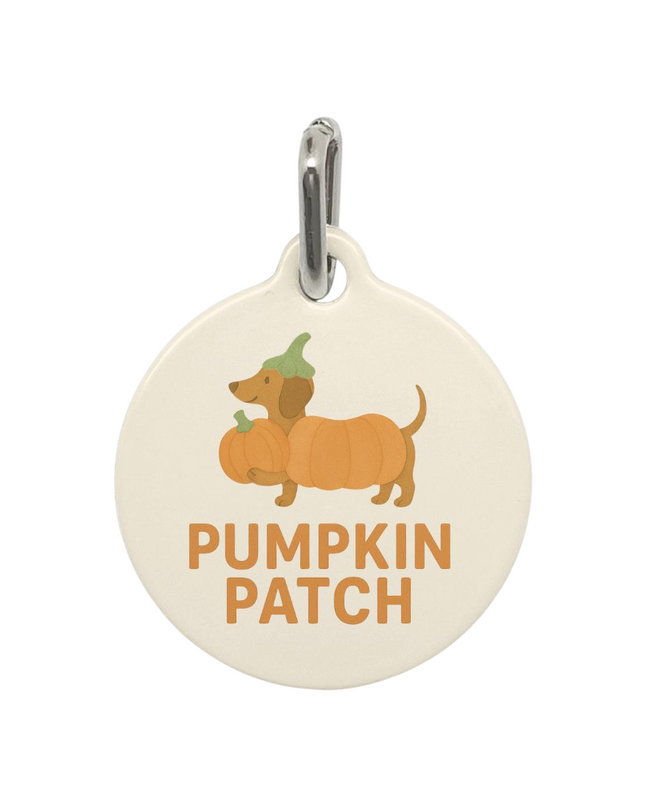 Pet Tag - Pumpkin Patch Dachshund