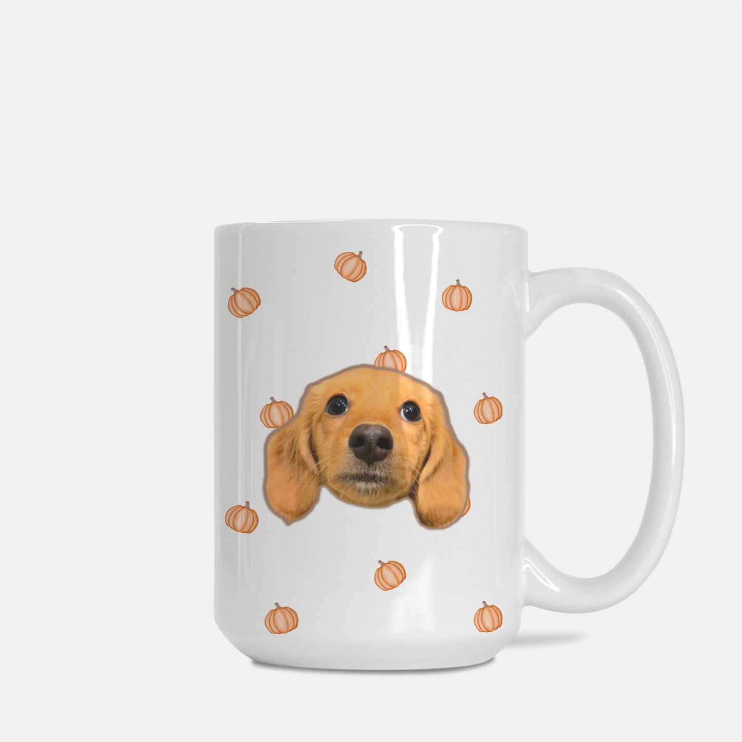 Petite Pumpkin Party White Glossy Custom Coffee Mug