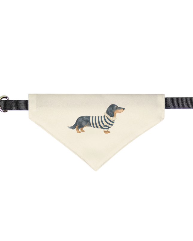 On Collar Pet Bandana  - Dachshund in Designer