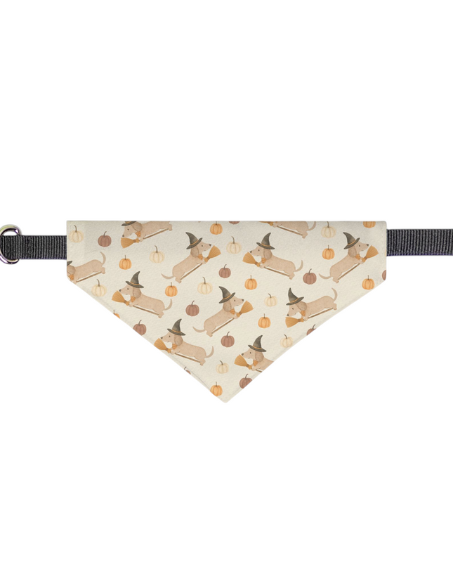 On Collar Pet Bandana  - Weenie Witches