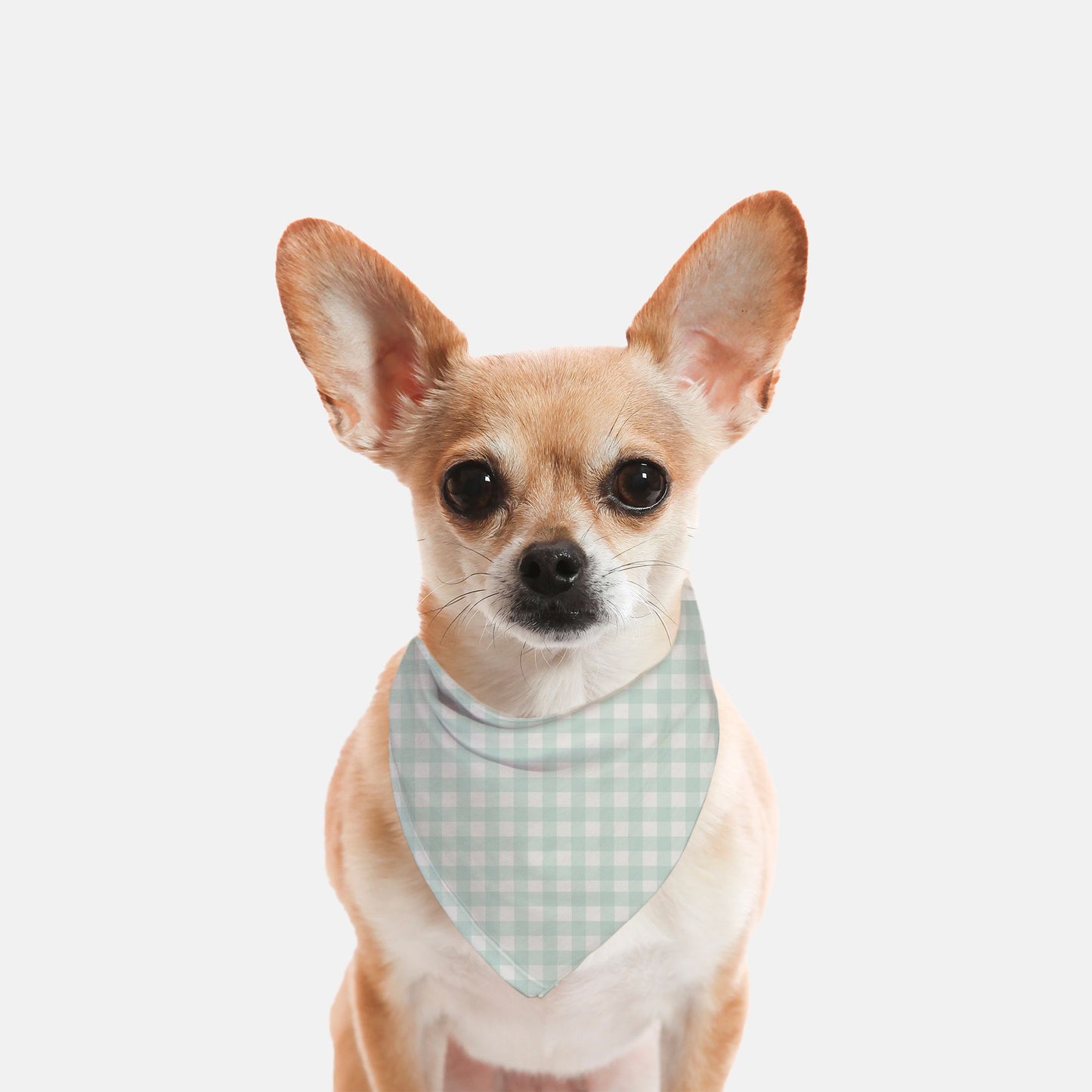 Fall Gingham Dog Bandana