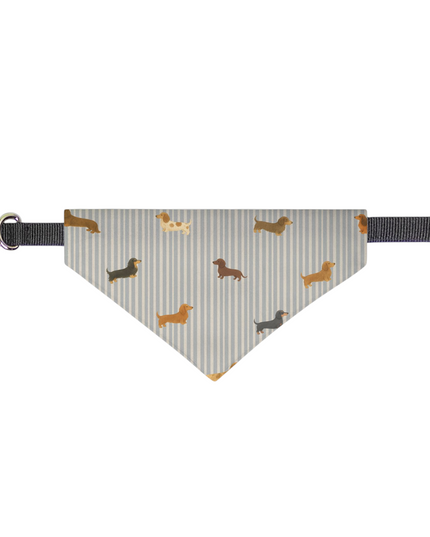 On Collar Dog Bandana  -  Long-Haired & Short-Haired Dachshund Mix Print