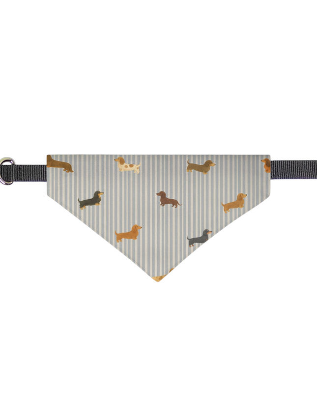 On Collar Dog Bandana  -  Long-Haired & Short-Haired Dachshund Mix Print