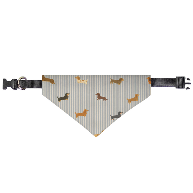 On Collar Dog Bandana  -  Long-Haired & Short-Haired Dachshund Mix Print