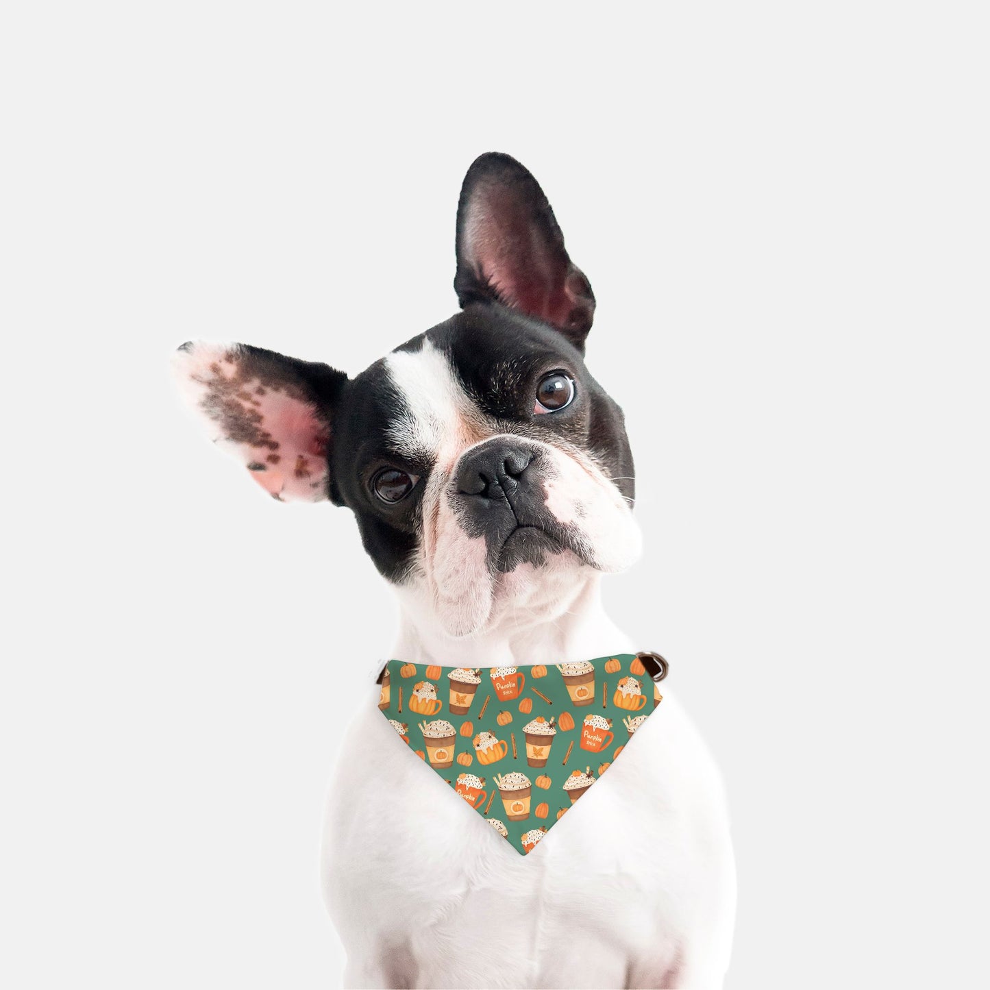 Pumpkin Spice Pawtte Collar Bandana