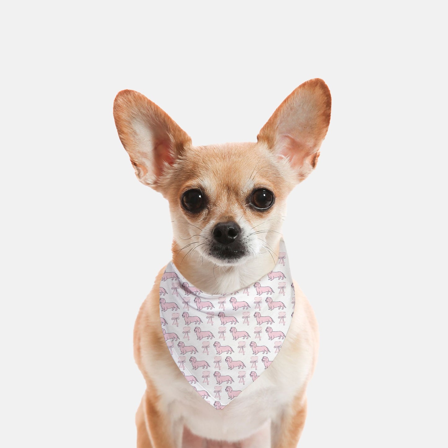 Puppies & Prosecco Dog Bandana