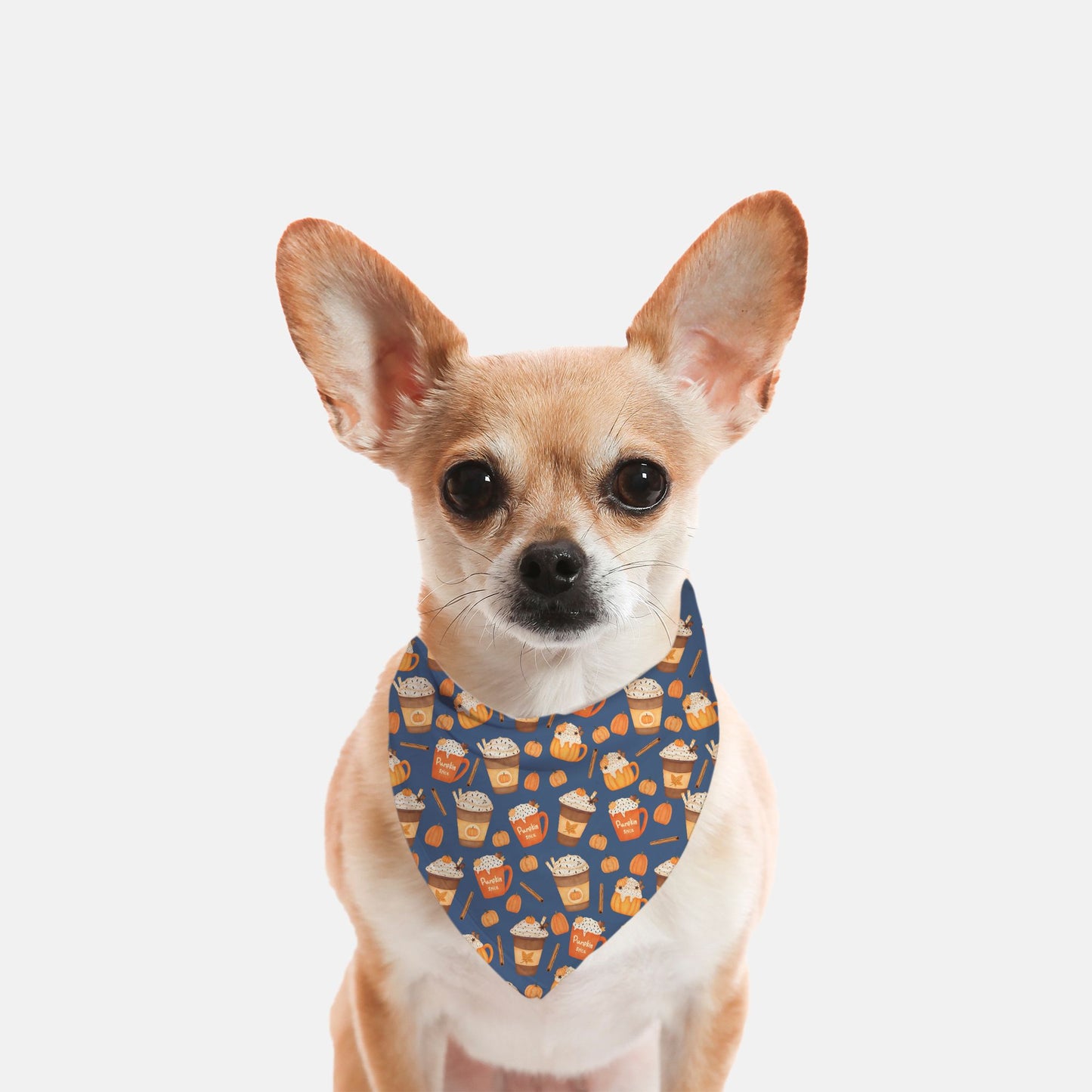 Pumpkin Spice Pawtte Custom Dog Bandana