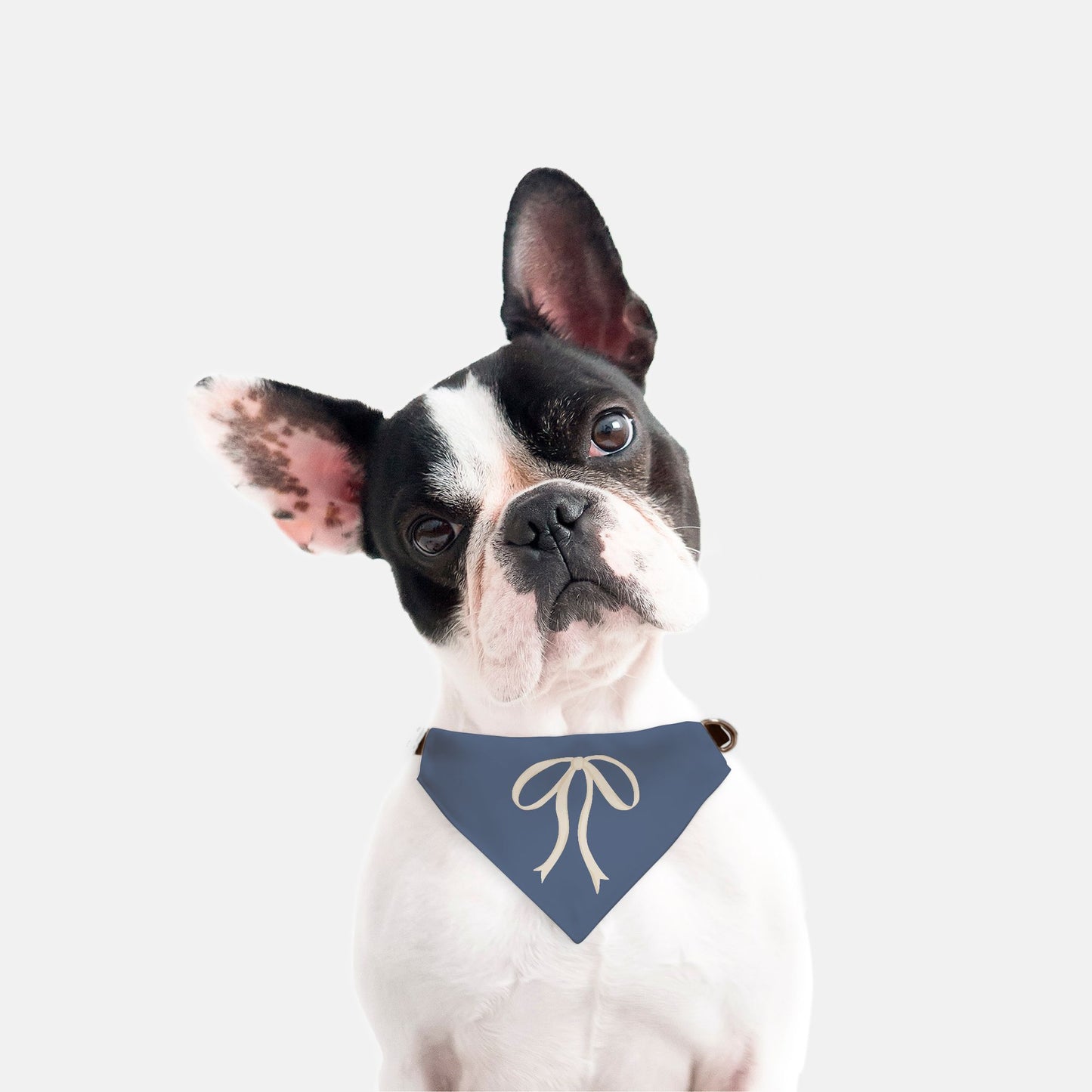 Single Taupe & Steel Blue Bow Collar Bandana