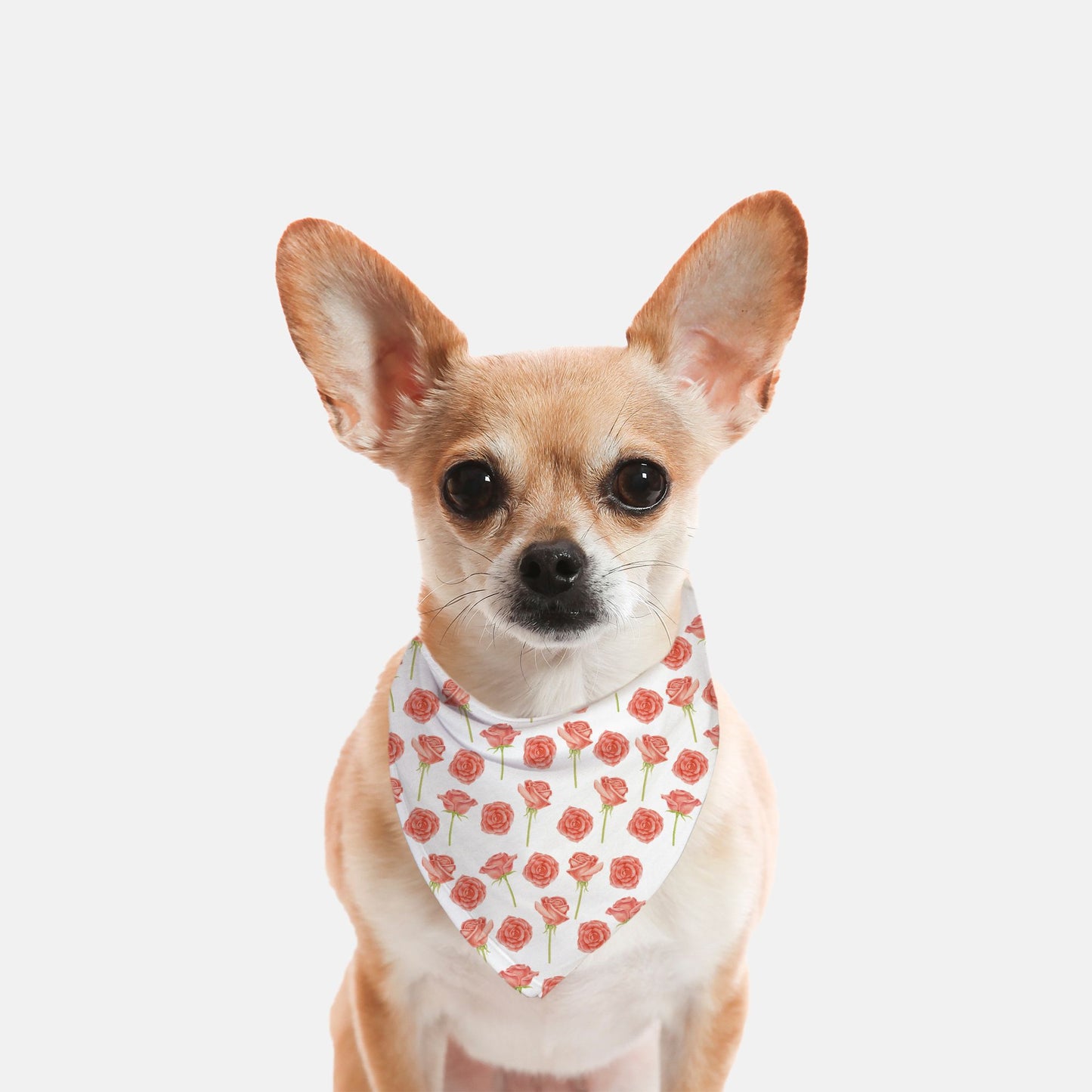 The Final Rose Dog Bandana